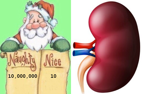 Santa's huge naughty list and small nice list; kidney with renal artery (red), renal vein (blue), and ureter (tan).